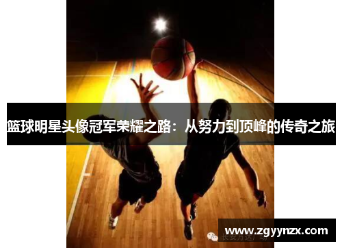 篮球明星头像冠军荣耀之路：从努力到顶峰的传奇之旅